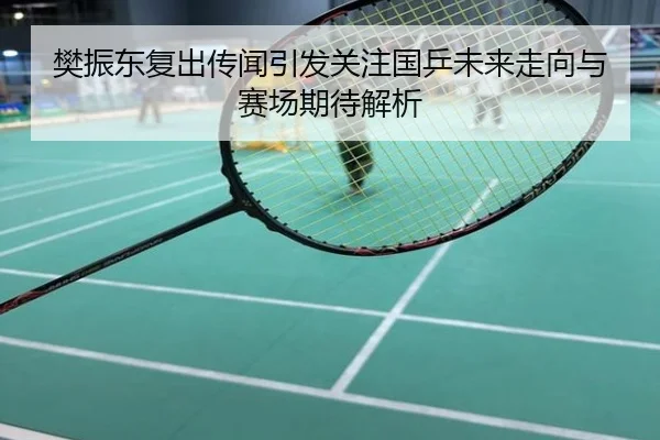 樊振东复出传闻引发关注国乒未来走向与赛场期待解析