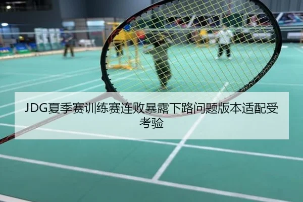 JDG夏季赛训练赛连败暴露下路问题版本适配受考验